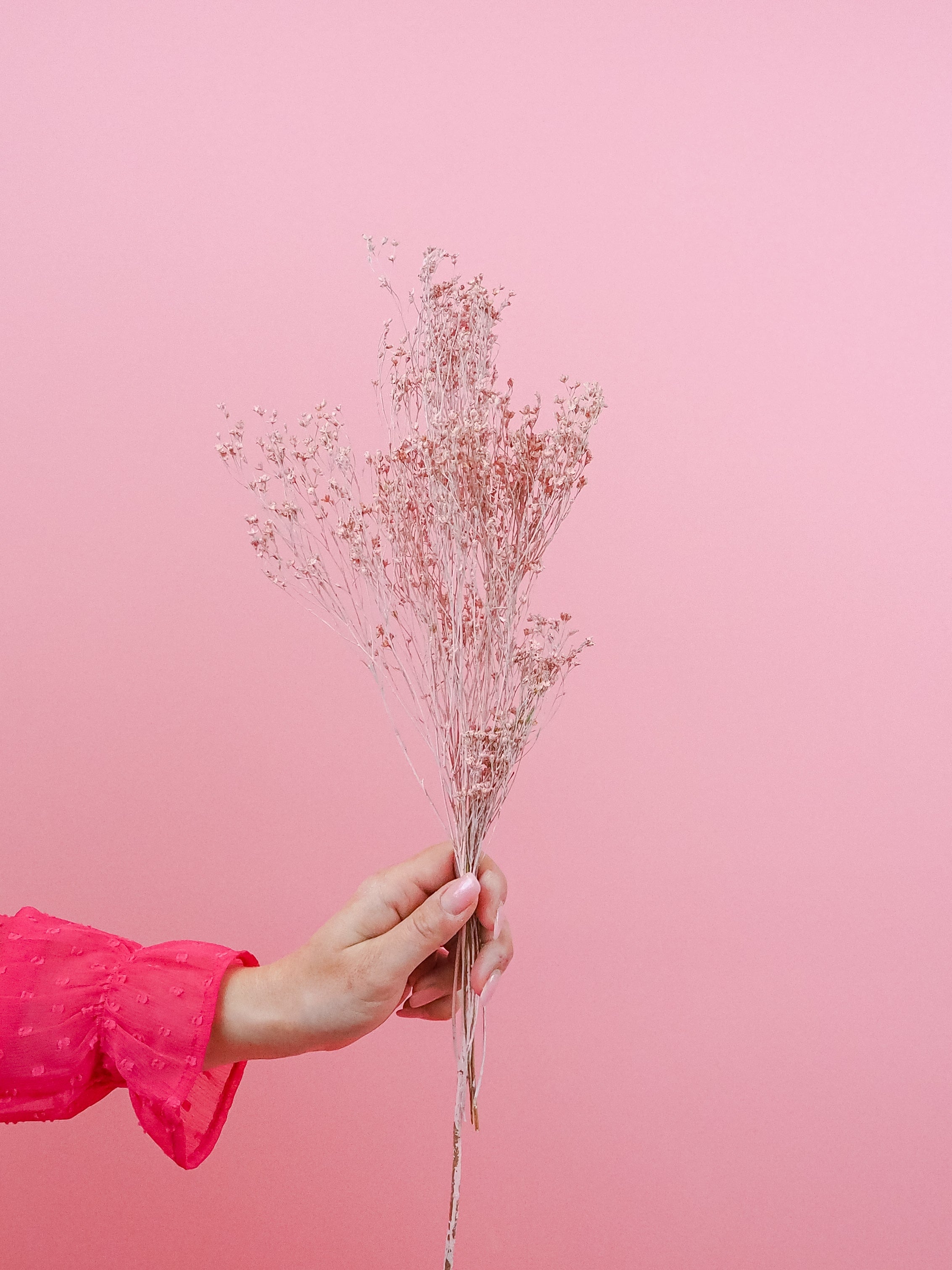 trockenblumen-broom-bloom-altrosa-rosa-bundware-beflowerly