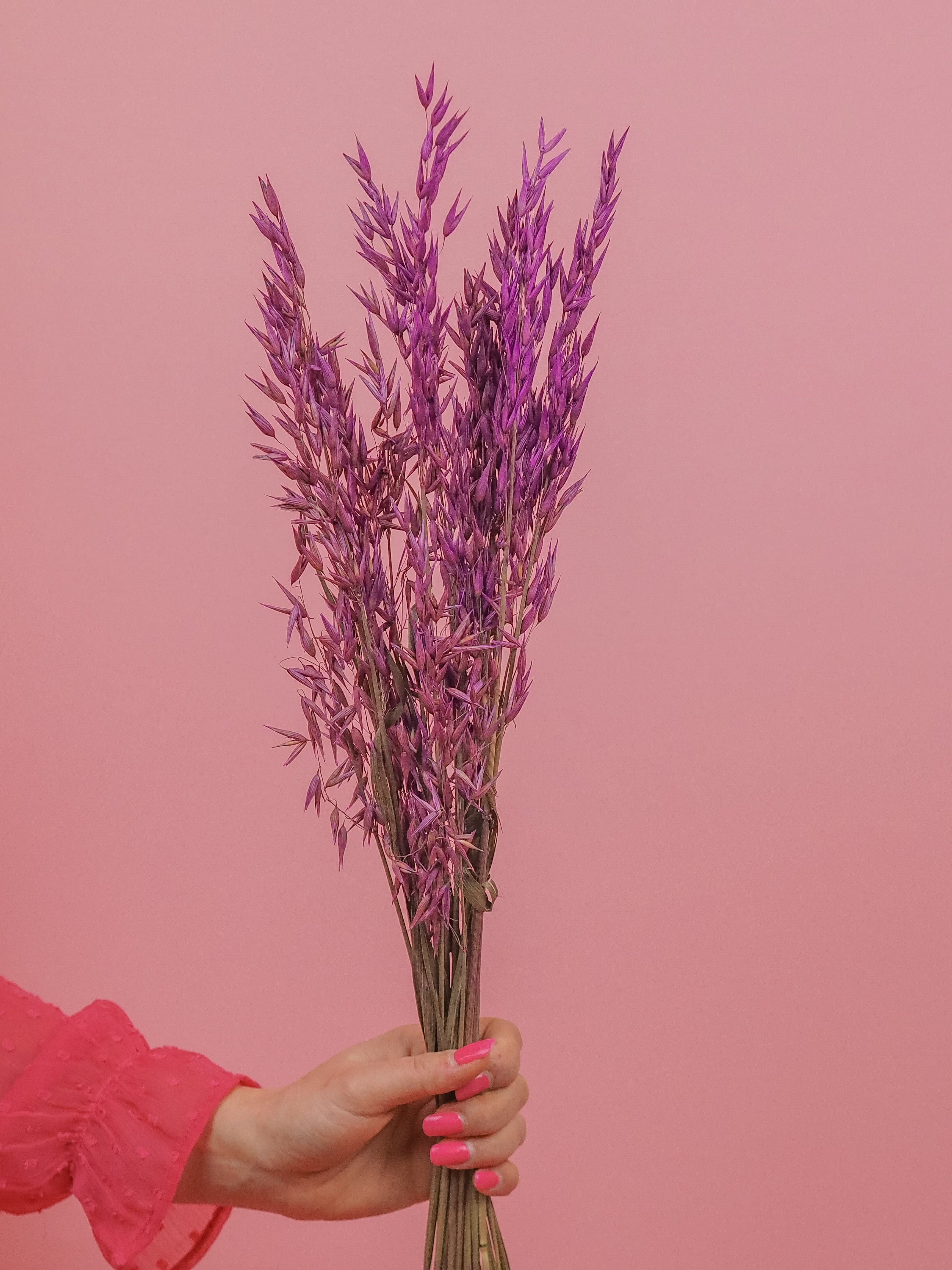 trockenblumen-hafer-lila-violett-diy-beflowerly