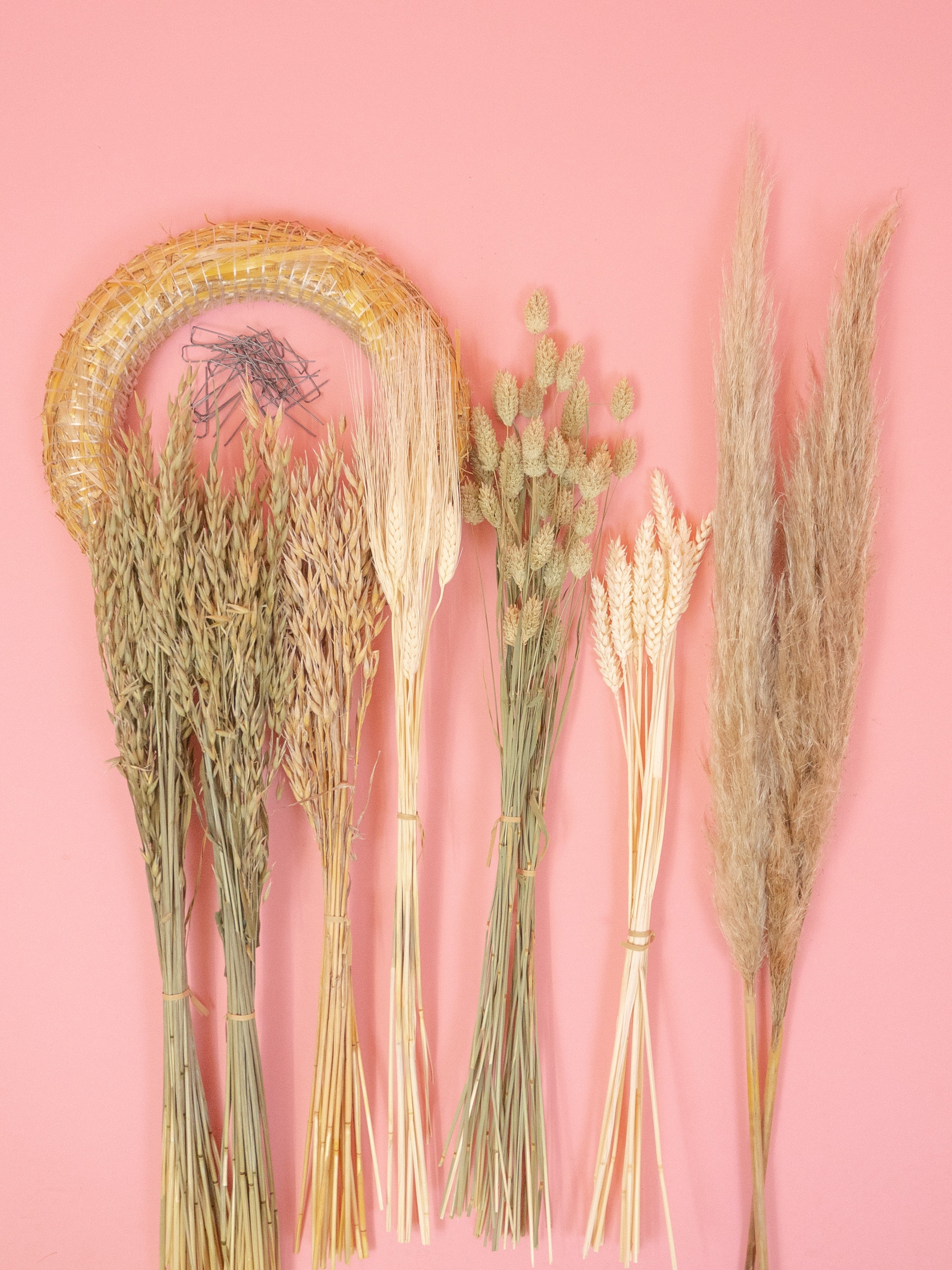 trockenblumen-kranz-diy-set-all-so-natural-gruen-weiss-beige-pampas-beflowerly