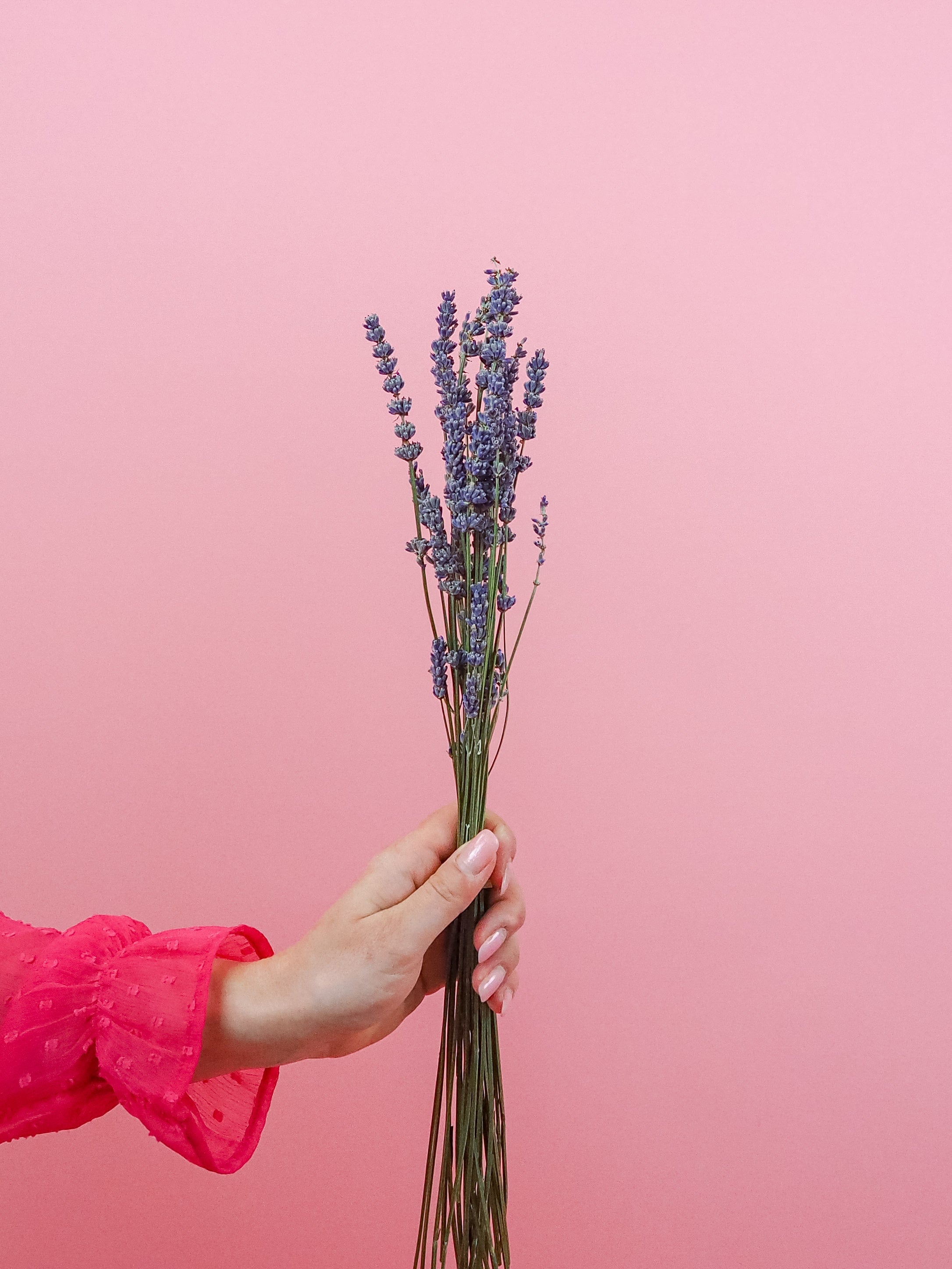 trockenblumen-lavendel-blau-bundware-diy-beflowerly
