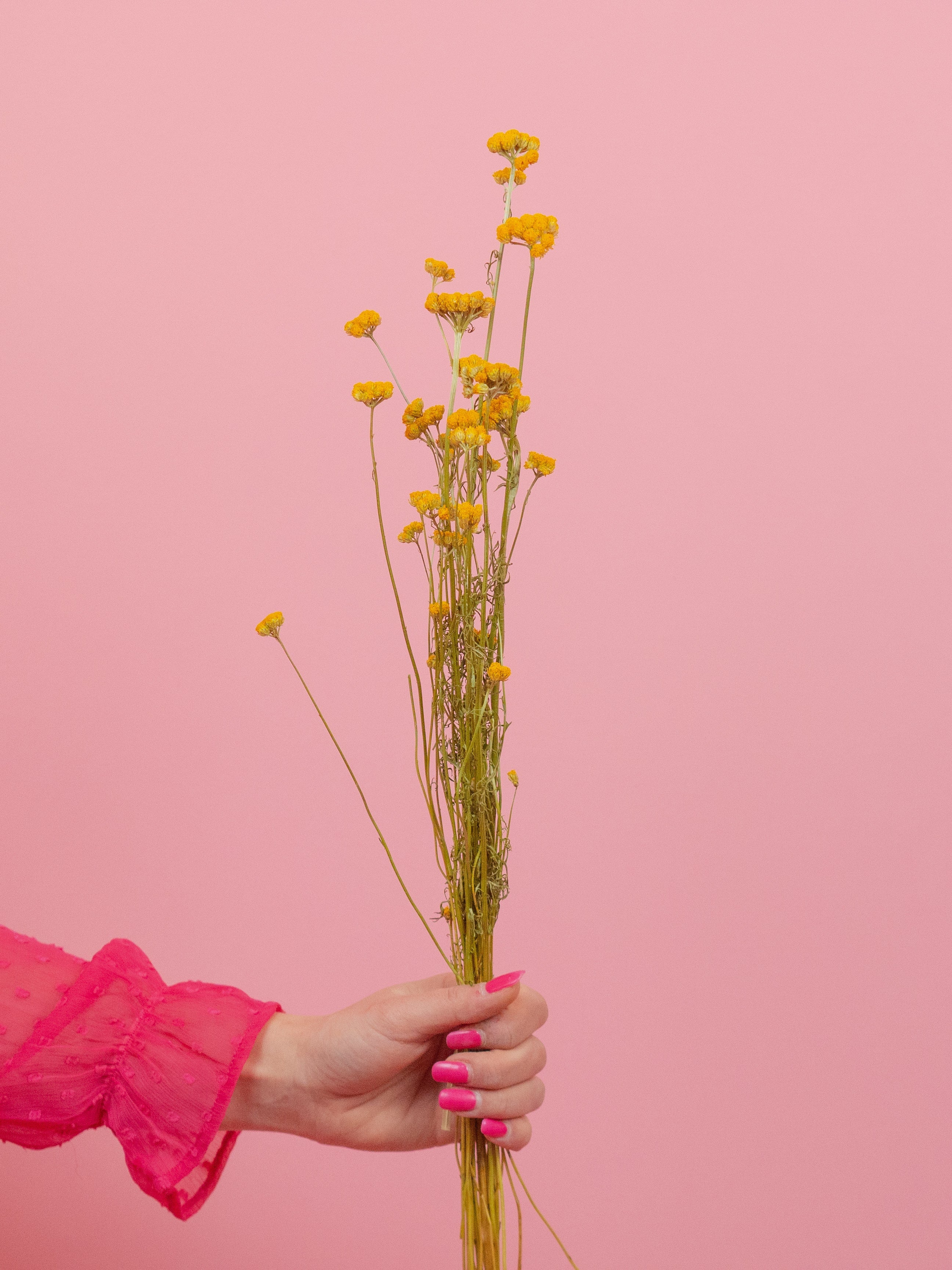 trockenblumen-lonas-gelb-natur-budware-diy-flowerbar-beflowerly