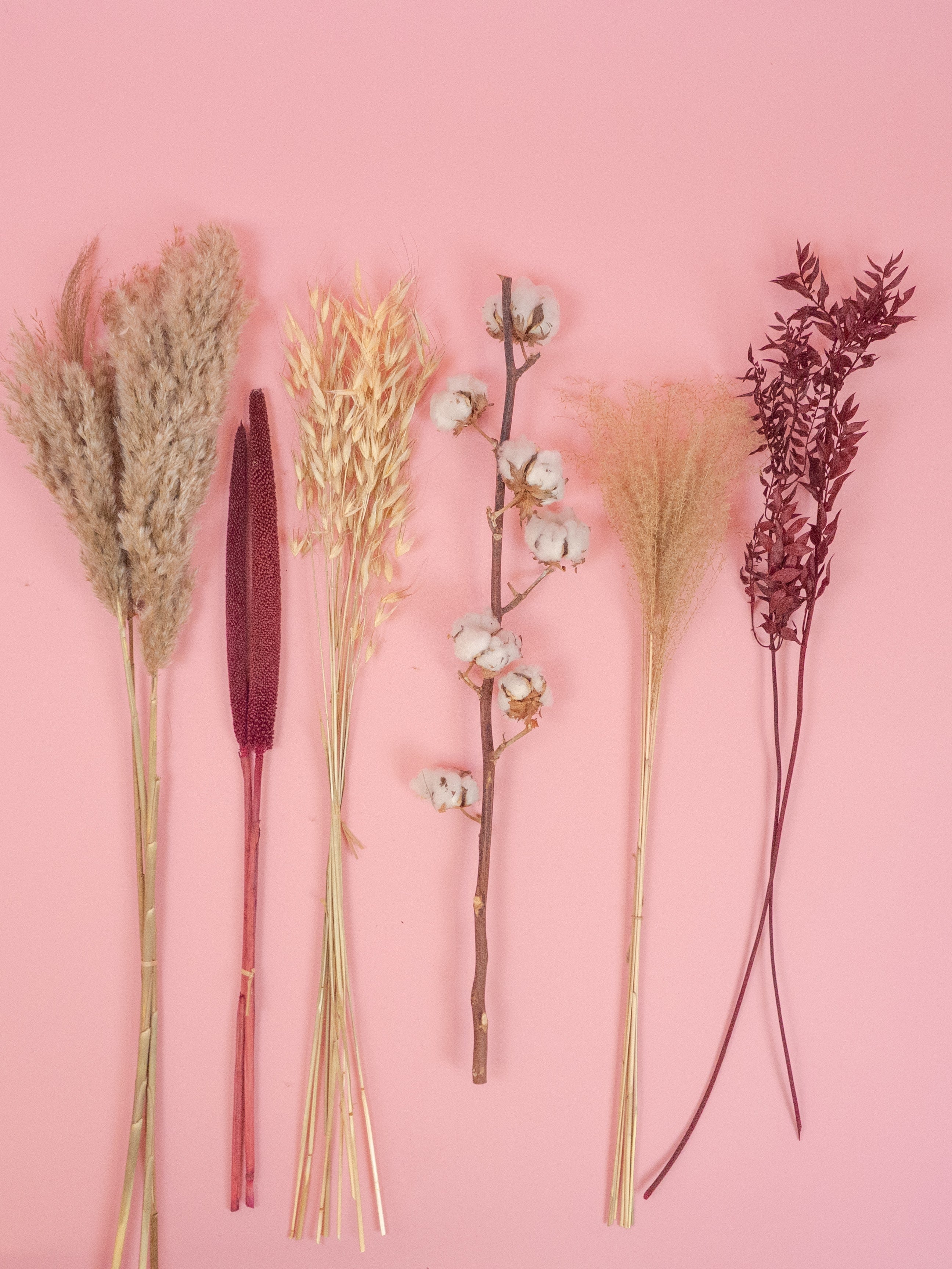 trockenblumen-strauss-cotton-candy-boho-baumwolle-ruskus-pampas-rot-beige-beflowerly