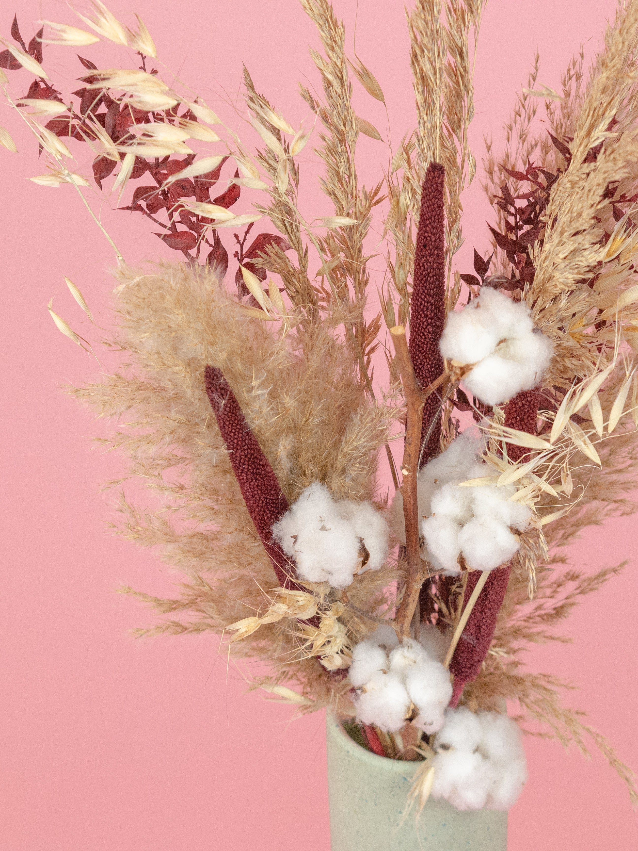 trockenblumen-strauss-cotton-candy-boho-baumwolle-ruskus-pampas-rot-beige-beflowerly