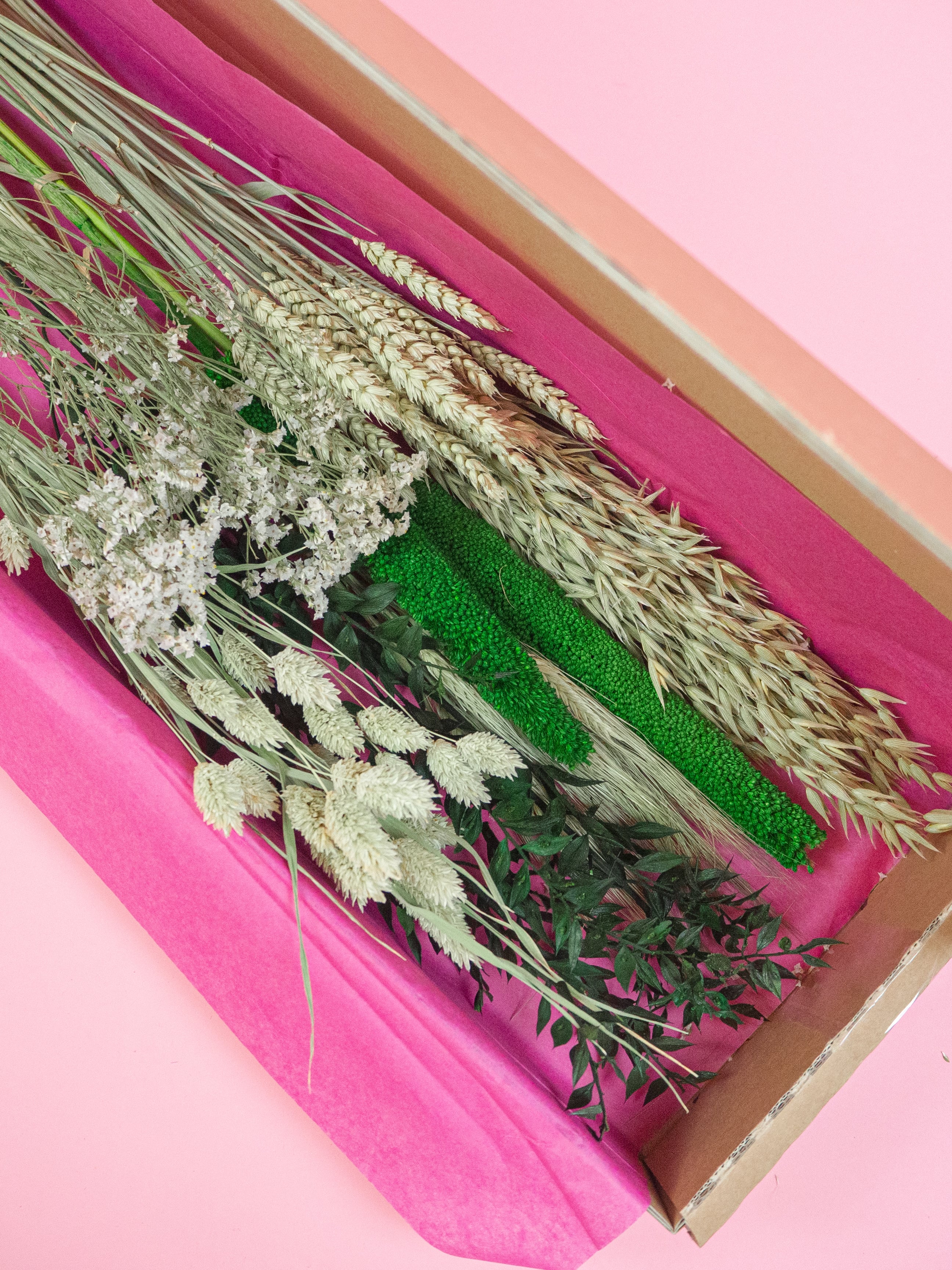 trockenblumen-strauss-diy-box-gruene-wiese-weiss-natur-gruen-beflowerly