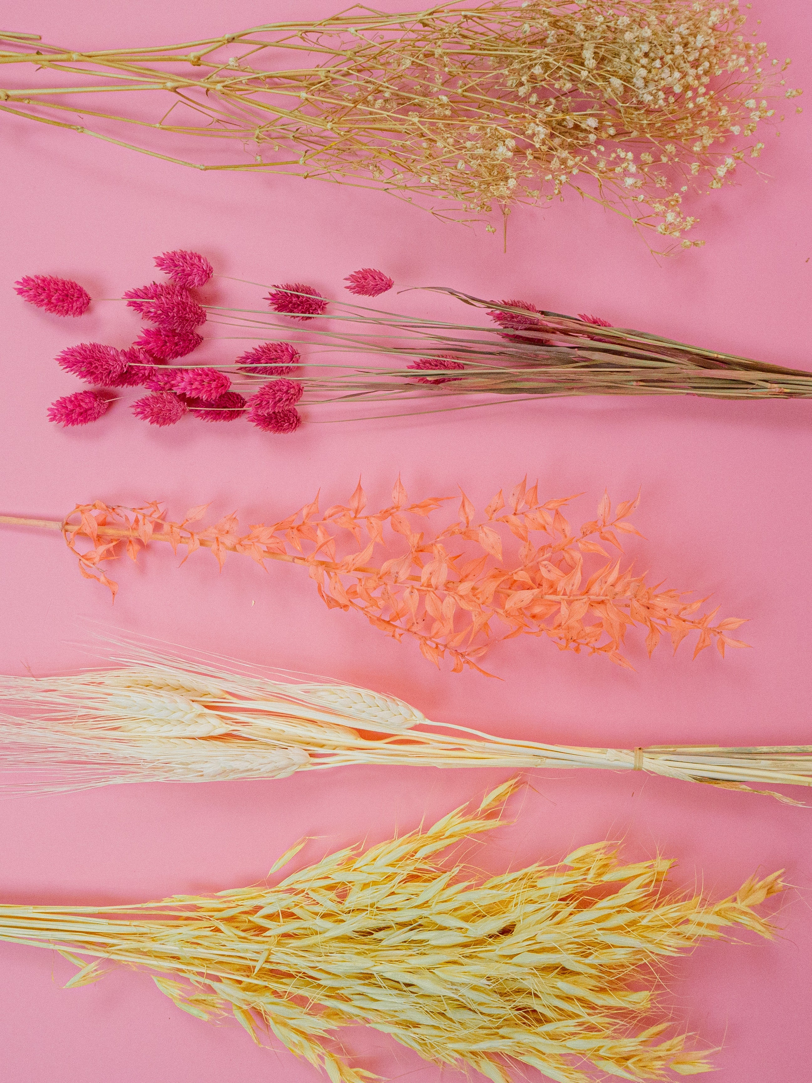 trockenblumen-strauss-diy-box-sunny-girl-pink-orange-koralle-gelb-beflowerly