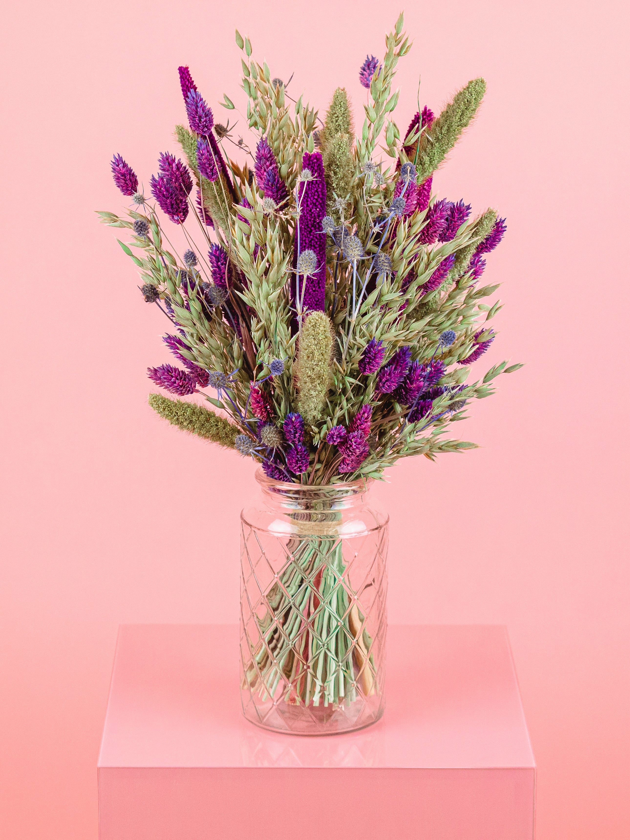 trockenblumen-baballa-schilfkoben-lila-violett-flowerbar-beflowerly