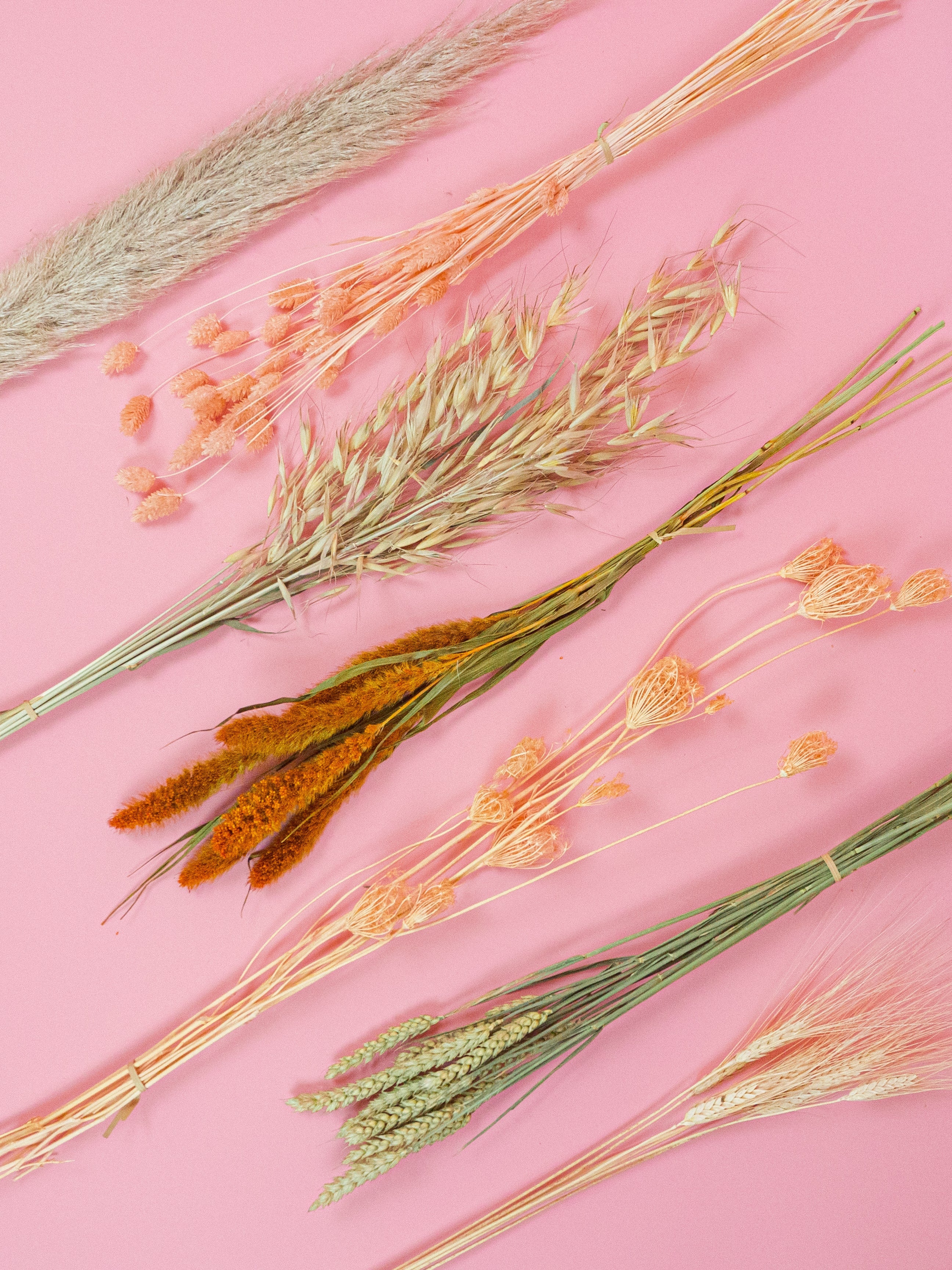 trockenblumen-strauss-diy-set-peach-apricot-rose-rost-beflowerly