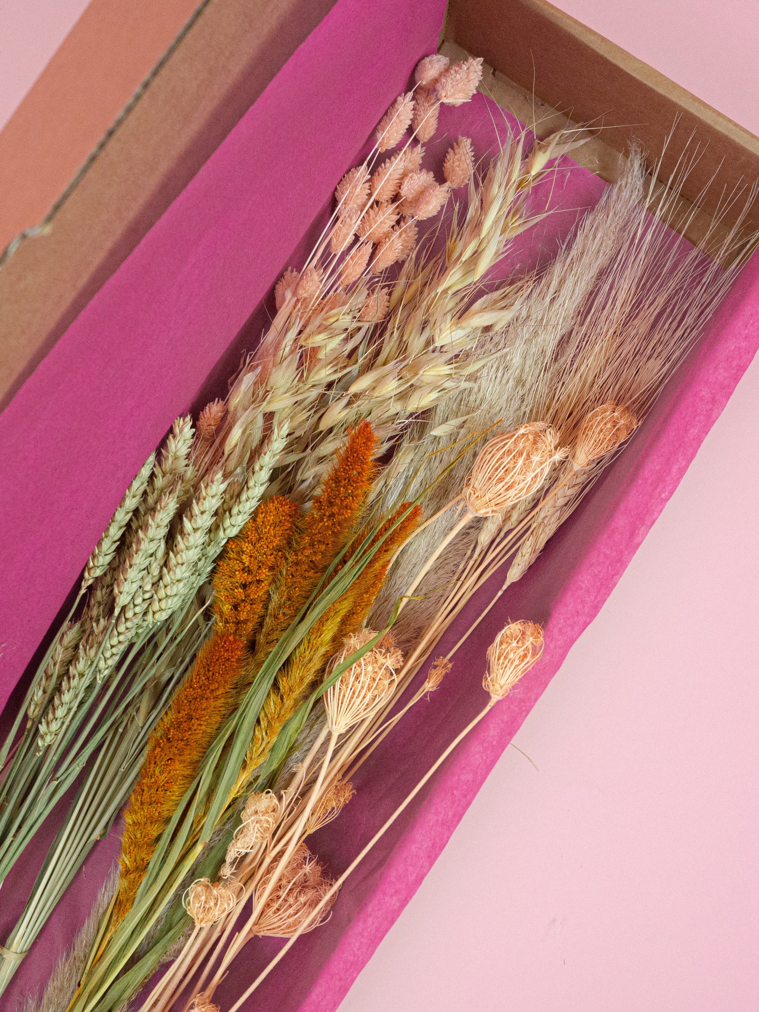 trockenblumen-strauss-diy-set-peach-apricot-rose-rost-beflowerly