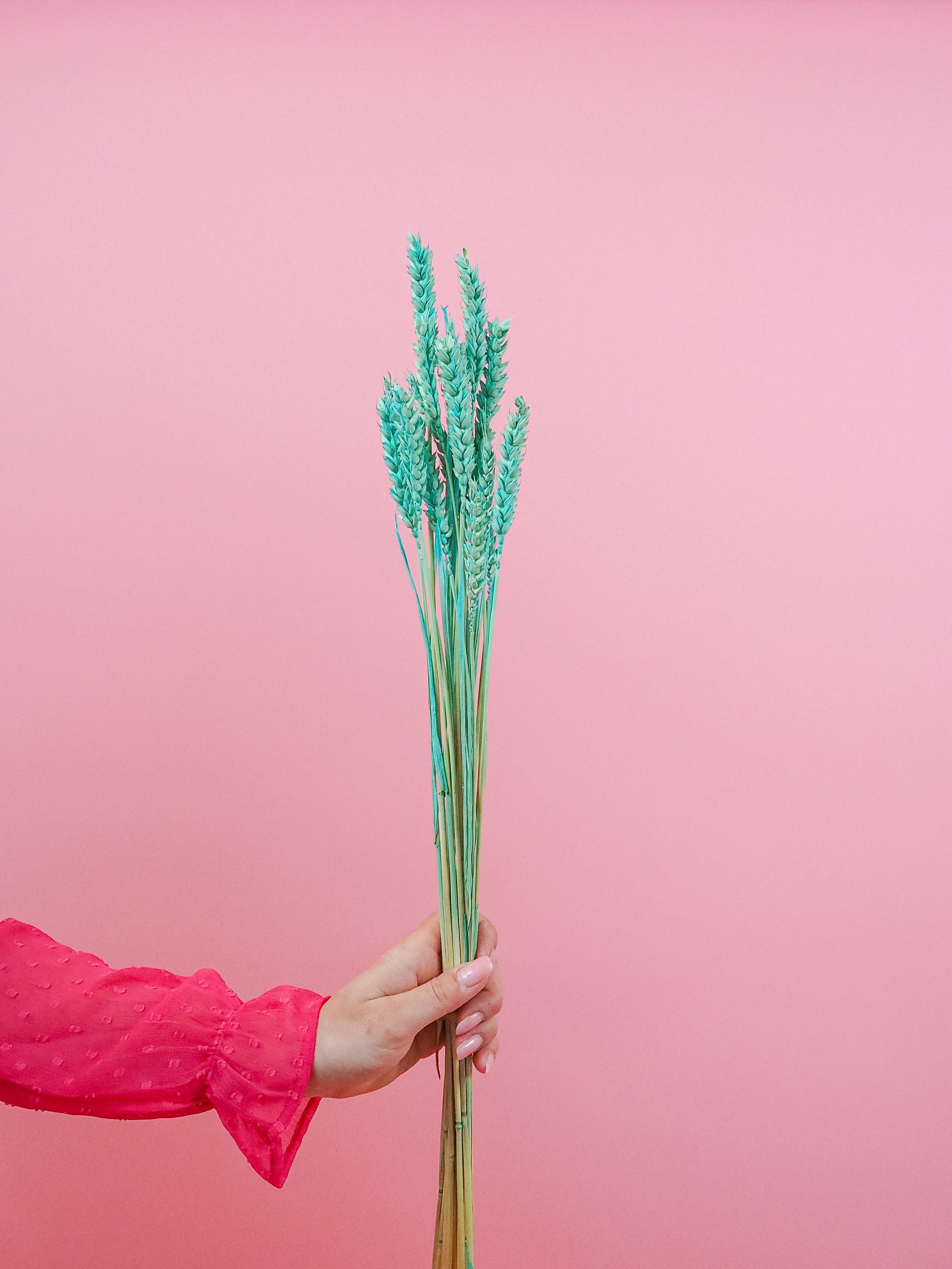 trockenblumen-weizen-mint-gruen-bundware-diy-beflowerly